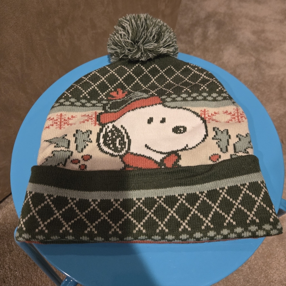 Green Snoopy Winter Hat